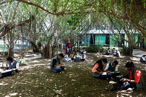 Care Kelambakkam Admission 2024 Courses Fees Placement Cut Off