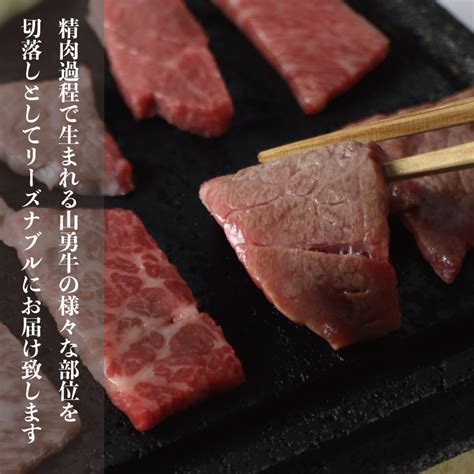 【楽天市場】熟成飛騨牛 山勇牛 焼肉 切り落とし 500g 父の日 送料無料 熟成肉 切落し 食べ比べ バーベキュー Bbq アウトドア A4