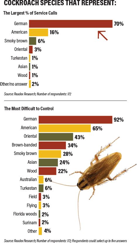 Behold The Mighty Cockroach Pest Control Technology