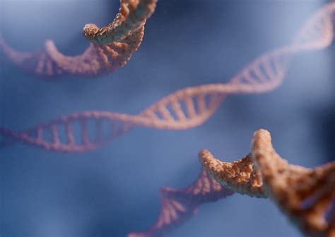 Nucleic Acids Questions and Answers