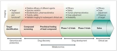 Imaging Applications In The Drug Discovery And Development Process Download Scientific Diagram