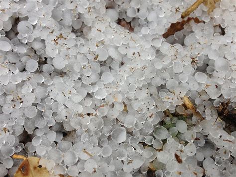 File2014 11 22 11 30 58 Small Hail On South 9th Street In Elko Nevada