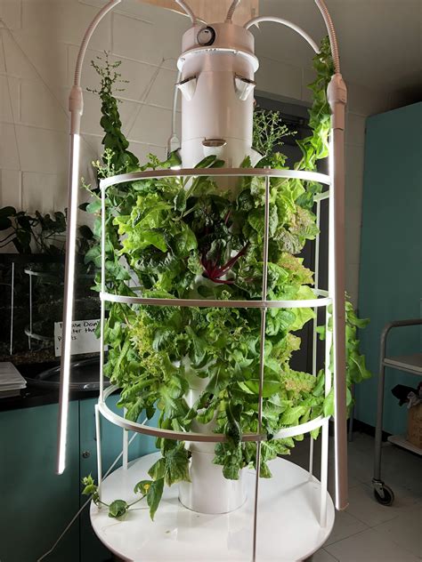 The Hydro Designs Hydroponic Grow Tower With Lighting Off