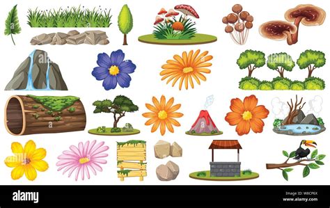 Set of different flowers and nature things illustration Stock Vector ...