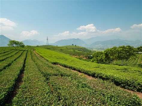 Produtores rurais já podem emitir Certificado de Cadastro do Imóvel Rural