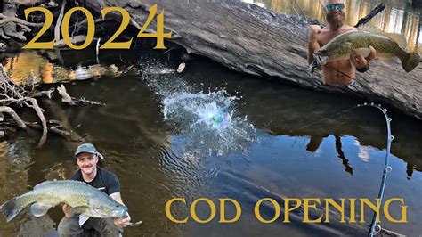 Land Based Murray Cod Fishing In Central West Nsw Spinner Baits And