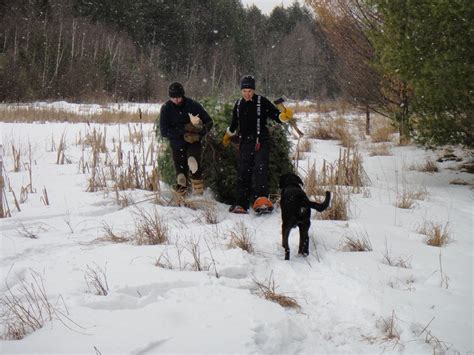 Winter Camping Symposium Lure Of The North