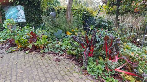 Workshops Eten Uit Je Eigen Tuin Beplantingsplan Voor Je Eetbare