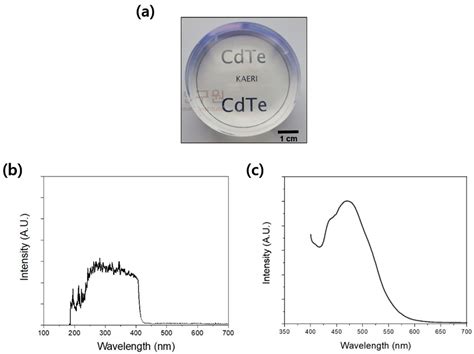 Integrated And Portable Probe Based On Functional Plastic Scintillator