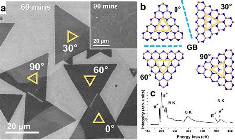 Figure 1 From Grain Boundaries In Chemical Vapor Deposited Atomically Thin Hexagonal Boron