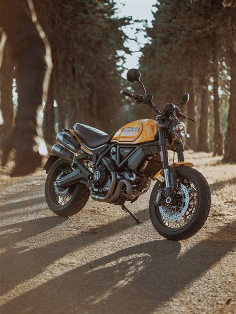 Ducati Scrambler Tribute Pro