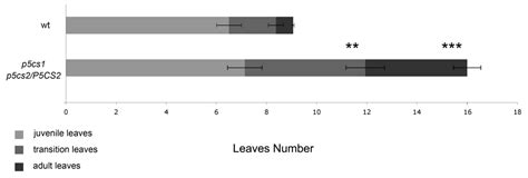 Plants Free Full Text Proline Affects Flowering Time In Arabidopsis