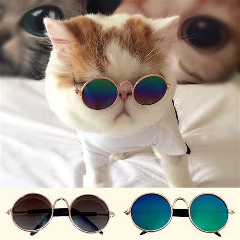 Cute Pet Cat Glasses UV Sunglasses Protection Eye Wear Funny Kitty Kitten Toys | eBay