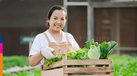 10 Ide Usaha Untuk Pemula Di Desa Bisa Pakai Modal Thr Lebaran