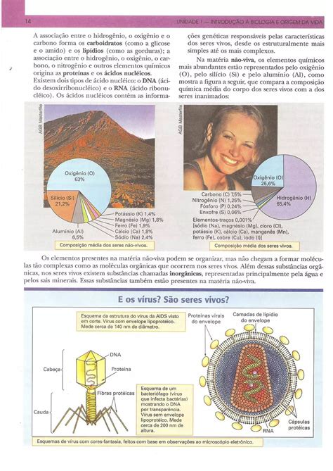 Bio Vol Nico S Nia Lopes Pdf