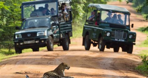 10 Mejores Circuitos De Lujo Por Sri Lanka 2025 TourRadar