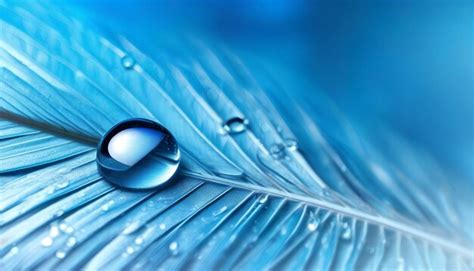 Premium Photo Photo Water Droplets On Feather In Blue Colors