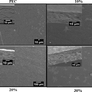 Sem Micrographs Of The Surface And Cross Sections Of The Films Pectin