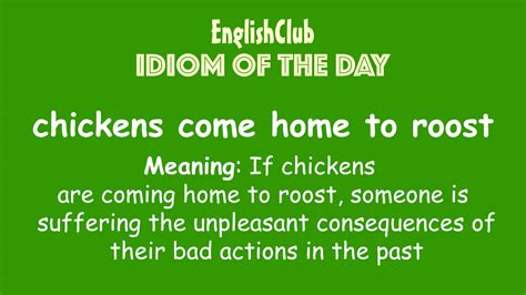 chickens come home to roost | Vocabulary | EnglishClub