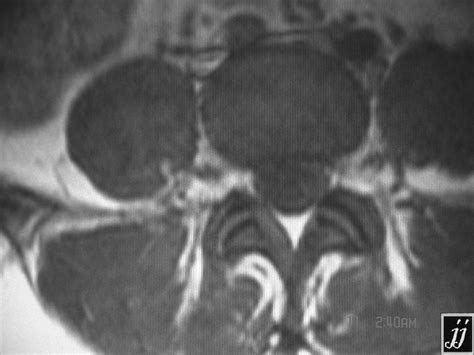 Anatomy Radiopaedia