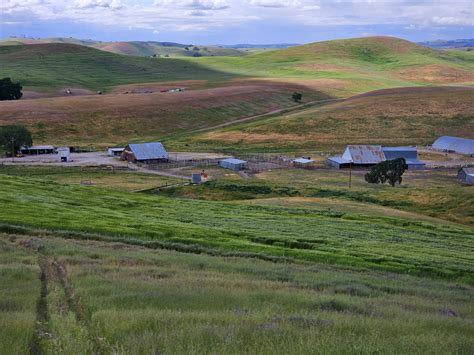 Miller Moth Ranch - Farm Stay USA