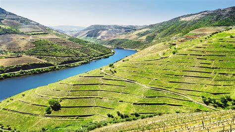 The Ultimate Guide To Portuguese Wine The Wine Society