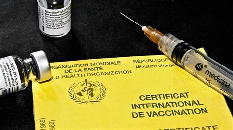 L Europe Fait Un Premier Pas Vers Le Passeport Vaccinal Les Echos