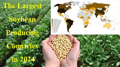 The Largest Soybean Producing Countries In 2024 Youtube