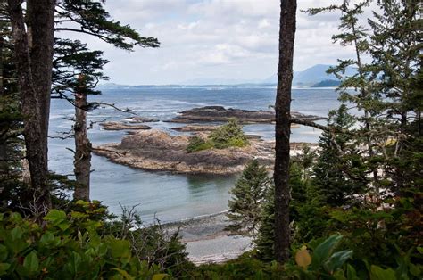 23 Things To Do In Tofino Vancouver Island Migrating Miss