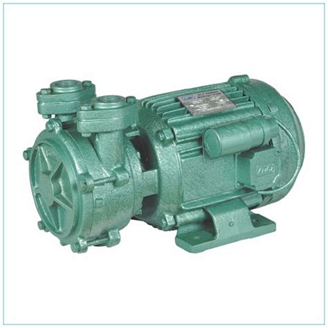 Ci Casting Single Phase Lubi 1 Hp Domectic Pumps, Manual, 1440 Rpm at ...