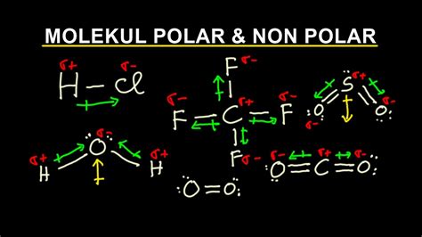 MOLEKUL POLAR NON POLAR YouTube