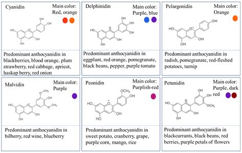 Malvidin An Overview Sciencedirect Topics 54 Off