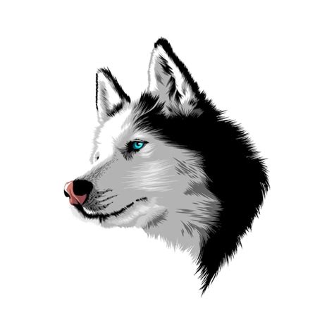 Premium Vector Wolf Vector Illustration Abstract Design