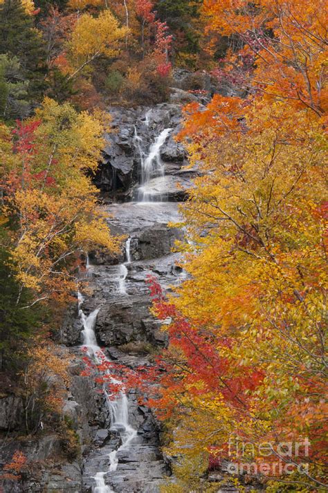 Silver Cascades Through Autumn Foliage Photograph By Bob Phillips