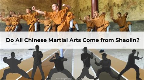 Todas As Artes Marciais Chinesas V M Do Shaolin Kung Fu Maling