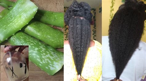 Homemade Aloe Vera Leave In Conditioner For Massive Natural Hair Growth