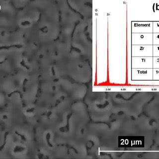 A Sem Surface Morphology And B Edx Spectrum Of Anodic Porous Tio