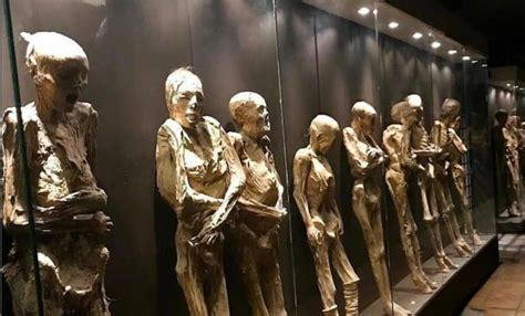 Ce musée morbide expose de vrais corps humains les visiteurs prennent