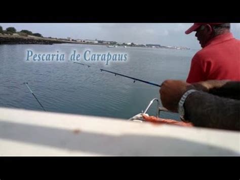 Pesca De Carapaus Na Ria YouTube