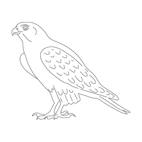 Premium Vector Falcon In Line Art Drawing Style Vector Illustration