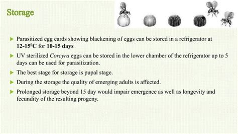 Rearing Of Trichogramma Spps Ppt