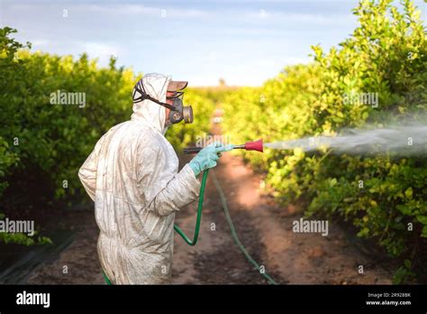 When Is The Best Time Of Year To Spray Fruit Trees Bob