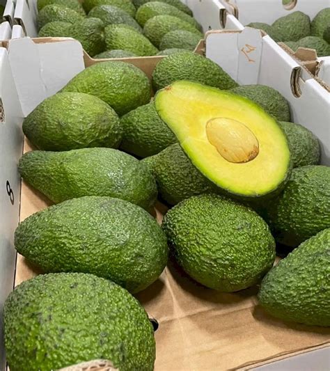 Hass Avocado Super Harvest Tanzania