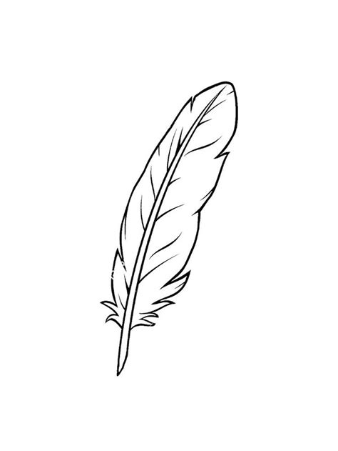 Feathers Coloring Pages Coloring Pages Feather Drawing Feather