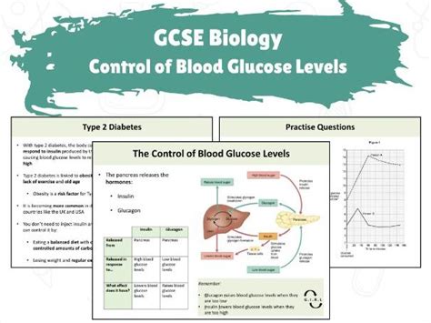 Gcse Biology Control Of Blood Glucose Levels Teaching Resources