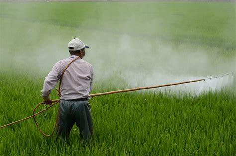 Pesticides and Fertilizers Used in Farming Pollute Waterways | Environmental Pollution Centers