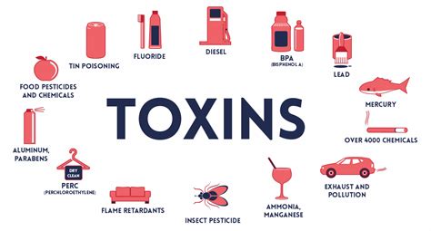 The Top Toxins Destroying Your Body Right Now Happy Body