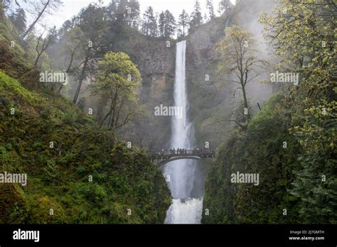 Multnomah Falls Is A Famous Waterfall In The Columbia River Gorge Of