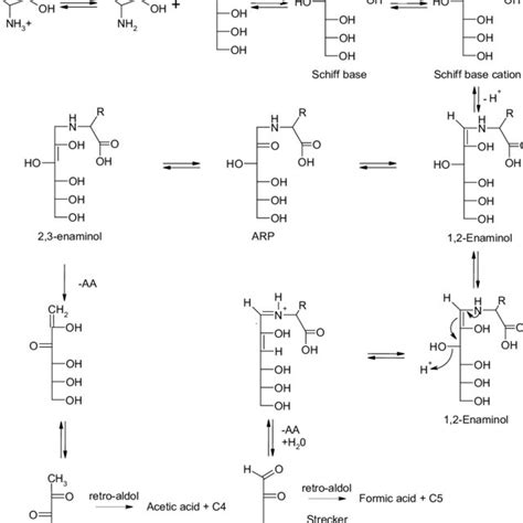 Maillard Reaction Leading To The Formation Of Hmf And The Subsequent Download Scientific