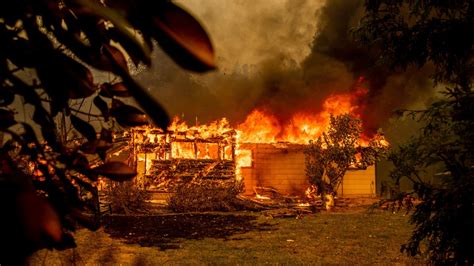 Palo Alto Woman Charged In Fawn Fire To Be Examined For Mental Health Nbc Bay Area